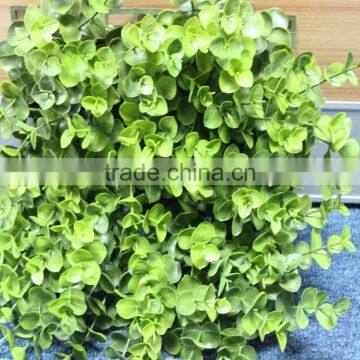 fake grass artificial boxwood , artificial boxwood plastic grass, artificial boxwood milan grass