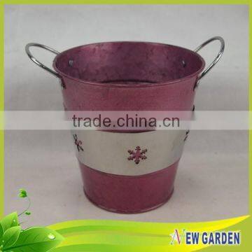 Newgarden 2015 New Products Customized Different Shapes Decorative Watering Can photo-4