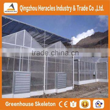 Heracles Trade Assurance Multispan Tunnel Greenhouse photo-5