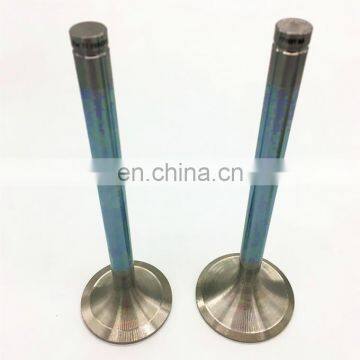 NFX TU5J4 Top Quality Chrome Part For Peugeot CITROEN SAXO VTS PEUGEOT 106 GTI 1.6 16v Intake Inlet Outlet Exhaust Engine Valve photo-6