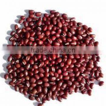 Organic adzukin beans