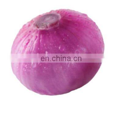 direct factory vegetables iqf frozen onion hot selling delicious quality