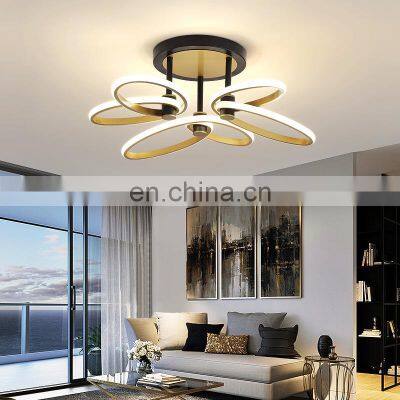 Contemporary Northern Europe Simple Ceiling Light Living Room Ceiling Pendant Light Modern LED Chandelier