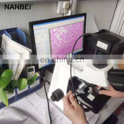 School Laboratory Equipment Digital Binocular Biological Microscope Price photo-3