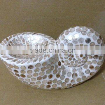 High quality best selling eco friendly Mother of pearl snail image from Vietnam