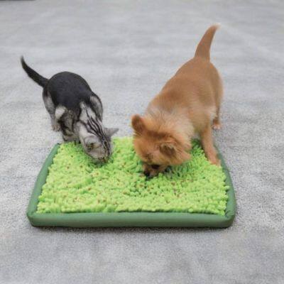 Snuffle Mat