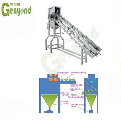 Shanghai Factory Supplier Coconut Opener Coconut Half Cutting Machine Virgin Coconut Production Line