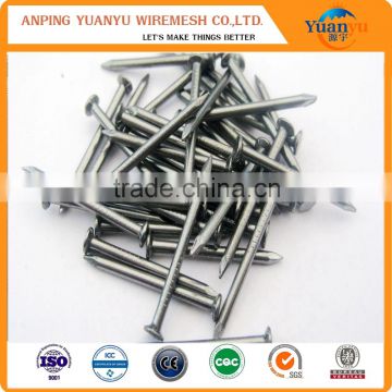 common nail iron nail factory and ordirary wire nail