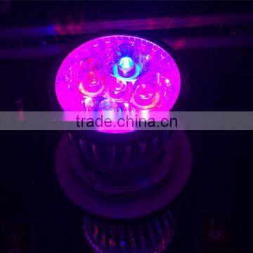 Full Spectrum LED Grow Lights 10W E27 LED Grow Lamp Bulb for Flower Plant Hydroponics System AC 85V 110V 265V Grow bo 1Pcs/lots photo-2