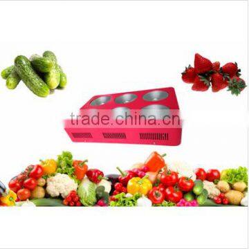grow lighting names all fruits cob led grow 600w