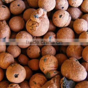 Hydro Grow Media (Leca Stones) Orchid/Hydroponic Clay Pebbles clay granular soil