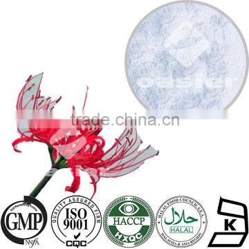 100% Natural Lycoris Radiata Extract 98% Galanthamine 1953-04-4