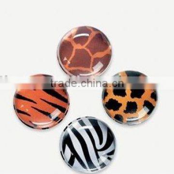 Animal Print Bubble Magnet Craft Kit