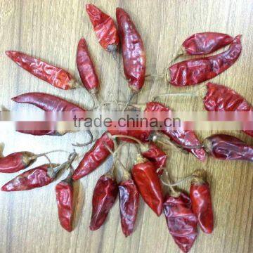Dry Red Chili photo-2
