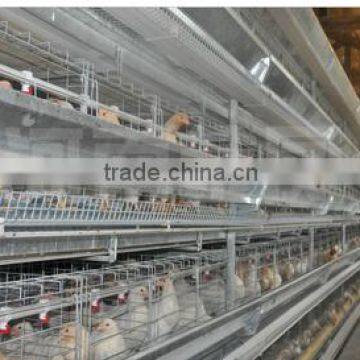 Chicken Battery Cages photo-3