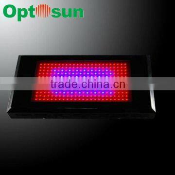 Newest 120w led grow light for tomato from Optosun