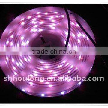 RGB LED strip lights/ lamps 5050 SMD