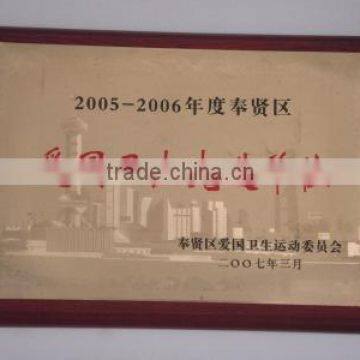 Patriotic Sanitation Advanced Unit