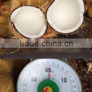 FULL HUSKED COCONUT _ QQ : 2290755420