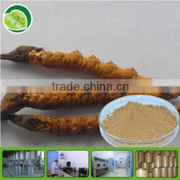 100% Natural Cordyceps Extract