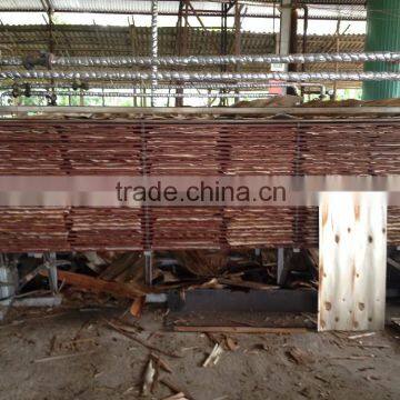 1.7 - 2 mm Eucalyptus Core Veneer From Viet Nam photo-2