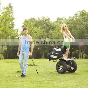 Golf Cart Powerful Chinese Electric Car photo-3
