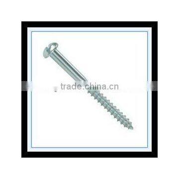 DIN96 Slotted Ball Head Wood Screws