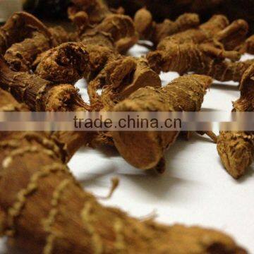 China Origin Well Died Galangal Roots