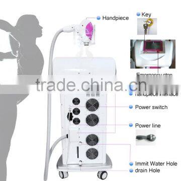 Hot 2015 Newest Smart Laser Machine Hair Removal Made in Germany photo-5