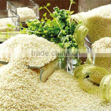 5KG,25KG,50KG short grain rice brands / white round grain rice bulks