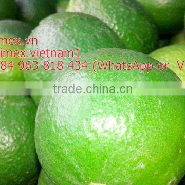 VIETNAM 2015 FRESH LIME