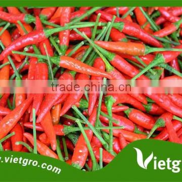 High Yield F1 Hybrid Red Chilli Pepper Seeds VGCL 01/ Vegetable seeds