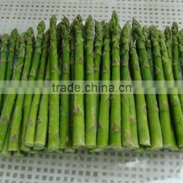 IQF green asparagus whole/pieces