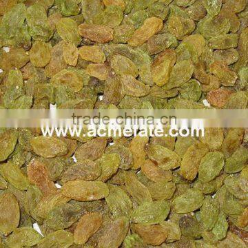 Best Price Top Quality Seeded  Raisin(golden,green,sultana,sun Dried) photo-5