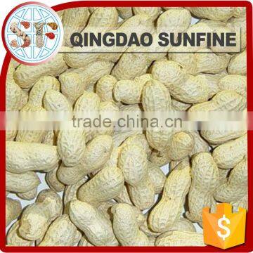 Best selling products raw peanuts seeds in shell for sale