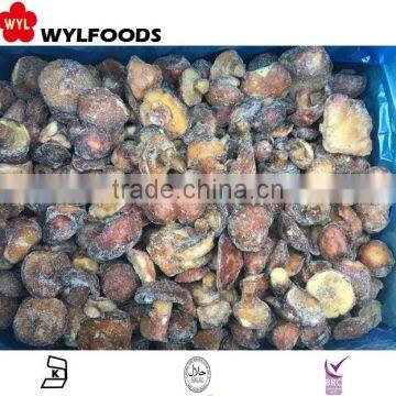 2015 low price frozen Suillus granulatus