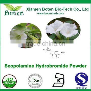 Bulk Supply White Crystalline Scopolamine-Powder-99% photo-1
