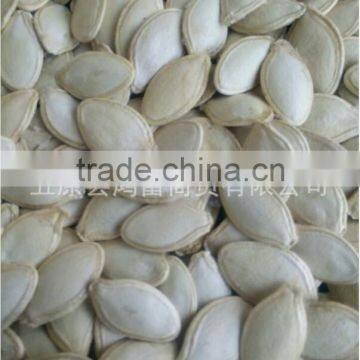 Pumkin Seed Kernels Shine Skine-grade AA photo-3