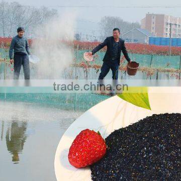 Pure seaweed extract feed and fertilizer with its benefits