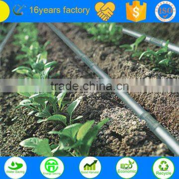 Hot sale farm drip irrigation house/houses