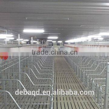 DEBA Brother Pig Gestation Equipment animal cages