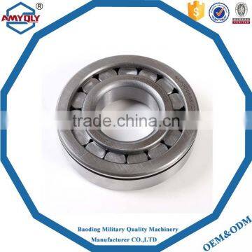 China Gold Supplier Eccentric Cylindrical Roller Bearings rn307 bearing