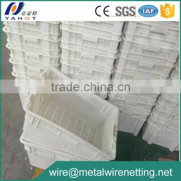 50kgs Transport Fruit Storage Plastic Boxes