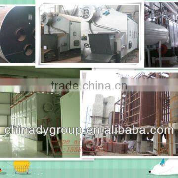 hot sales!! cheap high quality best wood coal gas burner steam boiler(DongYue)