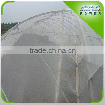 Insect Net Applied to Agricultural Greenhouse photo-3