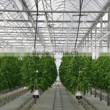 Agricultural Greenhouse photo-2