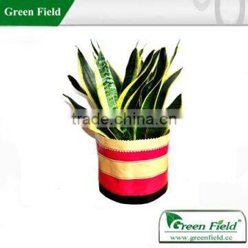 Stylish flower pots, flower pots wholesale, canvas flower bag