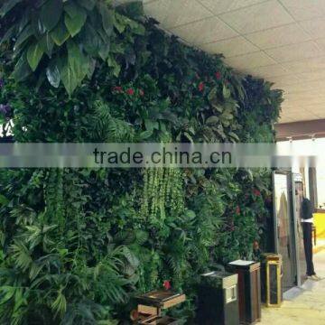 SJ1801298 Resturant decoration green plant walls