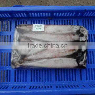 Squid Needle photo-4