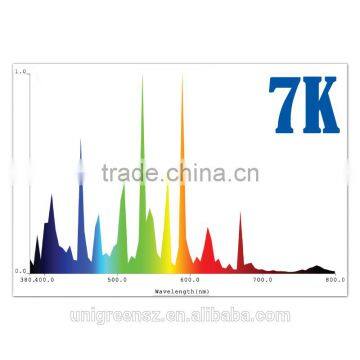 Professional Factory of 600 Watt Metal Halide 7K Lamp photo-2